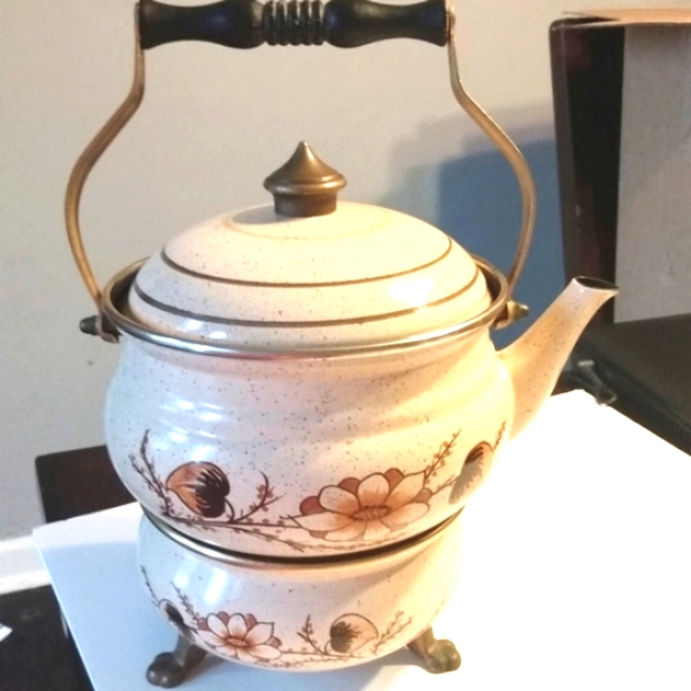 ASTA "RARE" print enamel Tea Kettle